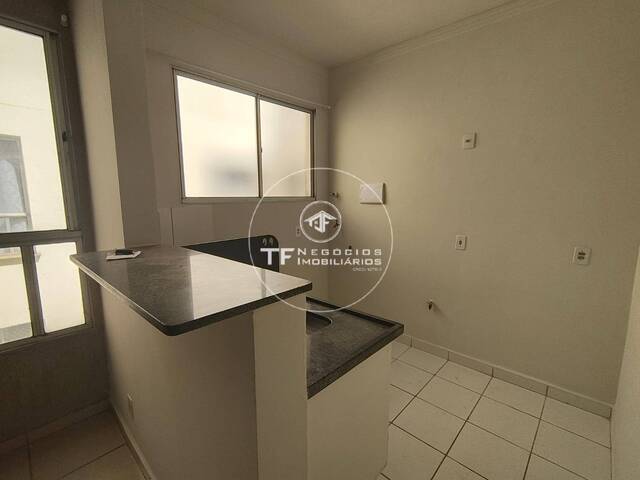 Apartamento para Locação em Araraquara - 5